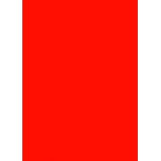 Prijskaart fluor rood 6x8cm 100st Tfr060814K